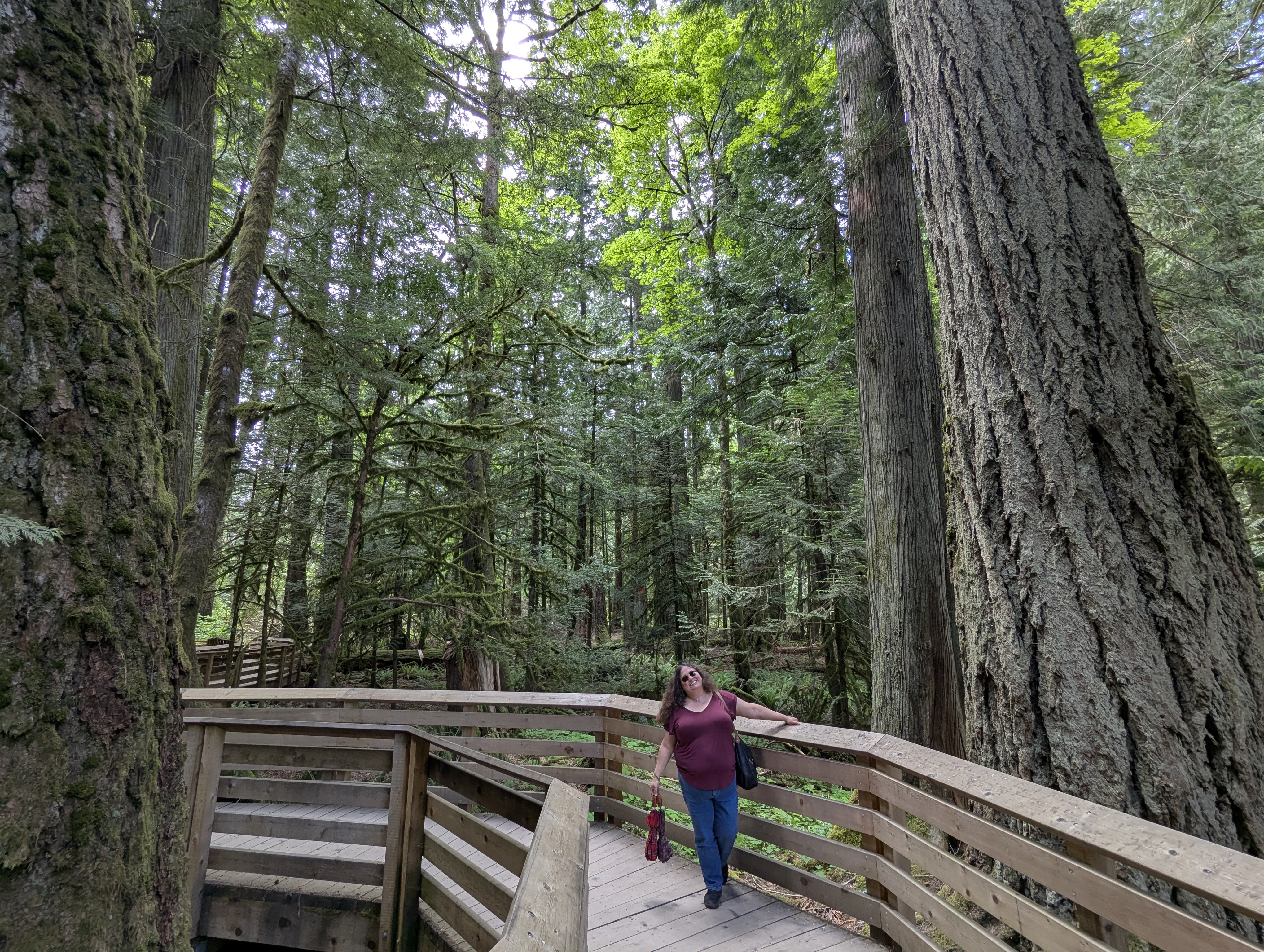 Birthday Trip to Canada, Cathedral Grove, Vancouver Island, Kari Sanders